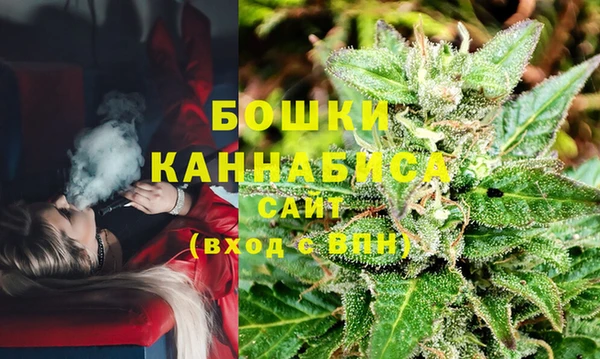 дмт Белокуриха