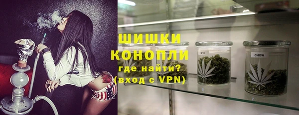 дмт Белокуриха