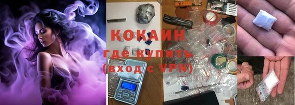 индика Балахна
